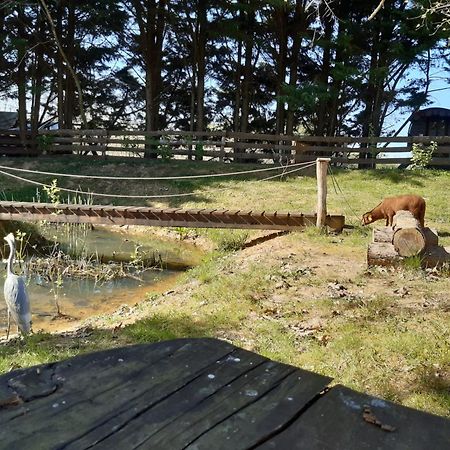 Tente Trappeur Ada, Au Jardin De La Vouivre Saint-Vincent-en-Bresse Bagian luar foto
