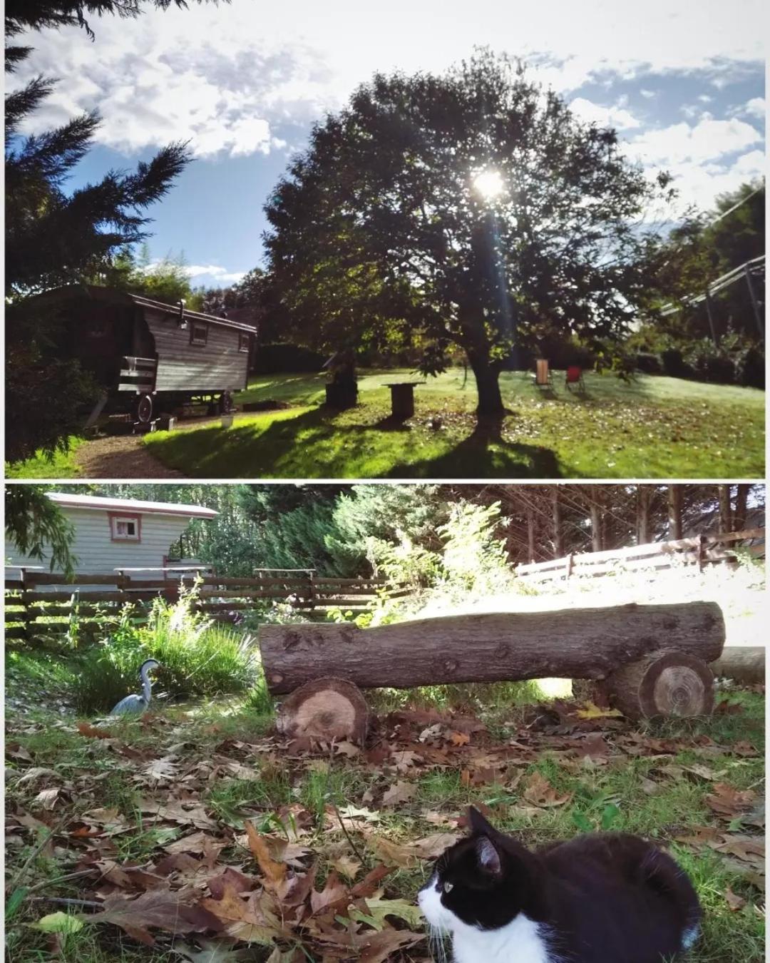 Tente Trappeur Ada, Au Jardin De La Vouivre Saint-Vincent-en-Bresse Bagian luar foto