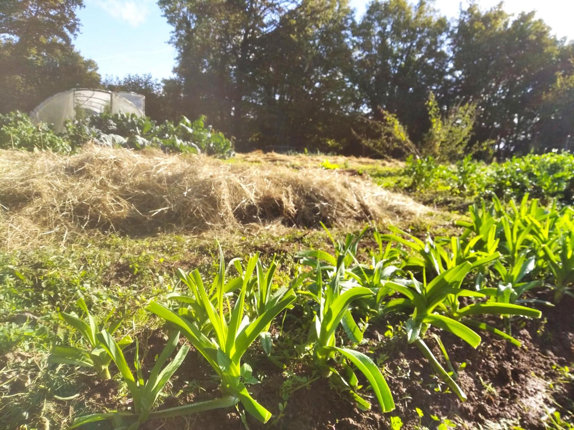 Tente Trappeur Ada, Au Jardin De La Vouivre Saint-Vincent-en-Bresse Bagian luar foto