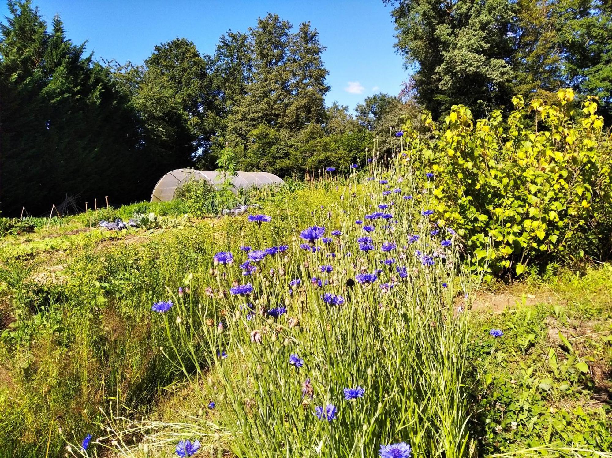 Tente Trappeur Ada, Au Jardin De La Vouivre Saint-Vincent-en-Bresse Bagian luar foto