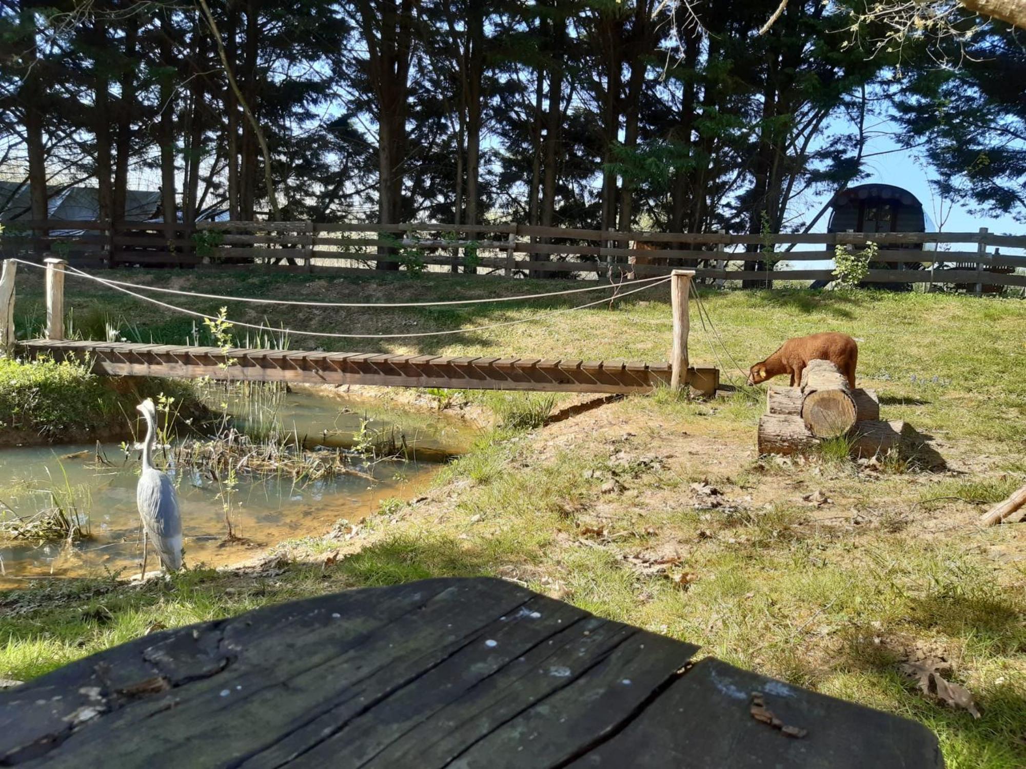 Tente Trappeur Ada, Au Jardin De La Vouivre Saint-Vincent-en-Bresse Bagian luar foto